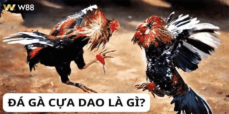 Hình minh họa khuyến mãi nổi bật khi đăng ký tài khoản mới.