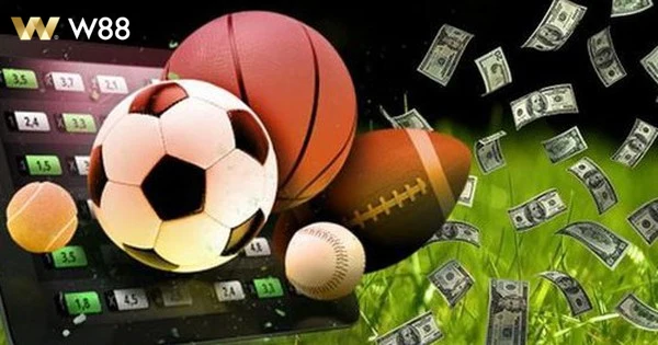 Khuyễn mãi đa dạng và sinh động tại Khuyến Mãi Thể Thao năm 2024.