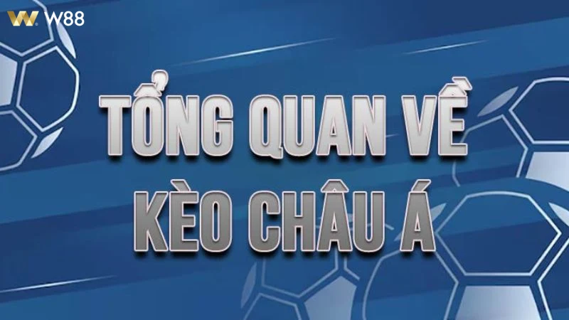 Người chơi trải nghiệm kèo châu Á trực tiếp trên điện thoại di động